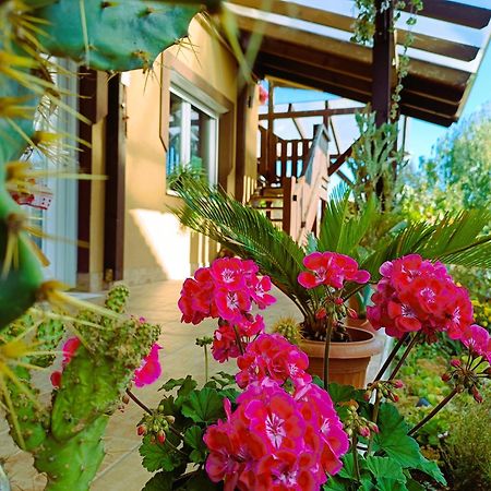 Holt-Tisza Vendeghaz Hotel Сегед Екстериор снимка