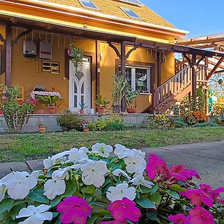 Holt-Tisza Vendeghaz Hotel Сегед Екстериор снимка