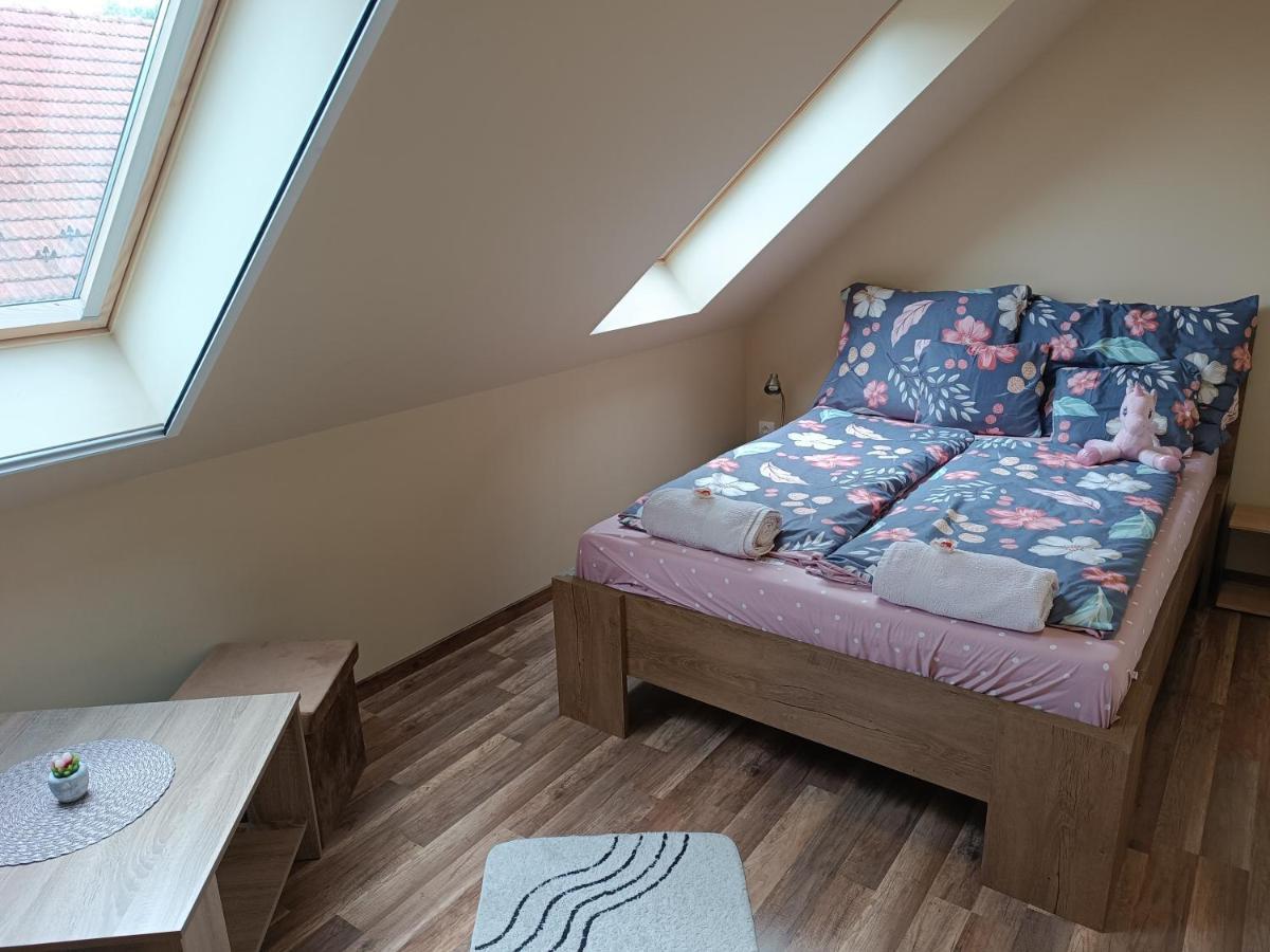 Holt-Tisza Vendeghaz Hotel Сегед Екстериор снимка