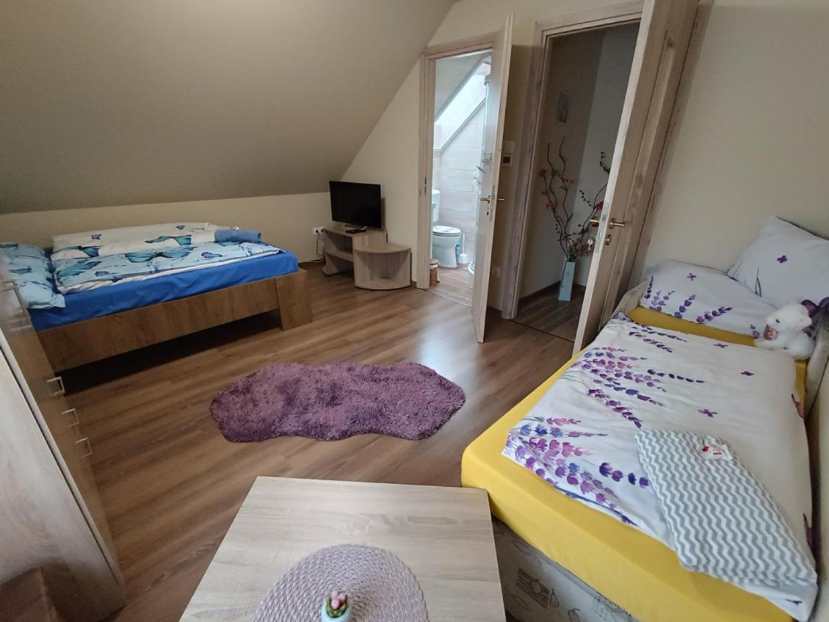 Holt-Tisza Vendeghaz Hotel Сегед Екстериор снимка