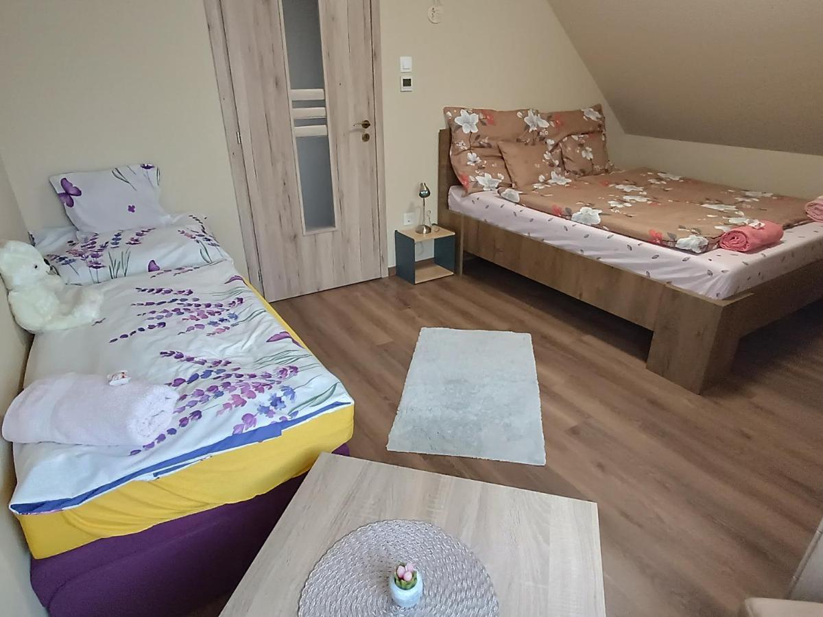 Holt-Tisza Vendeghaz Hotel Сегед Екстериор снимка