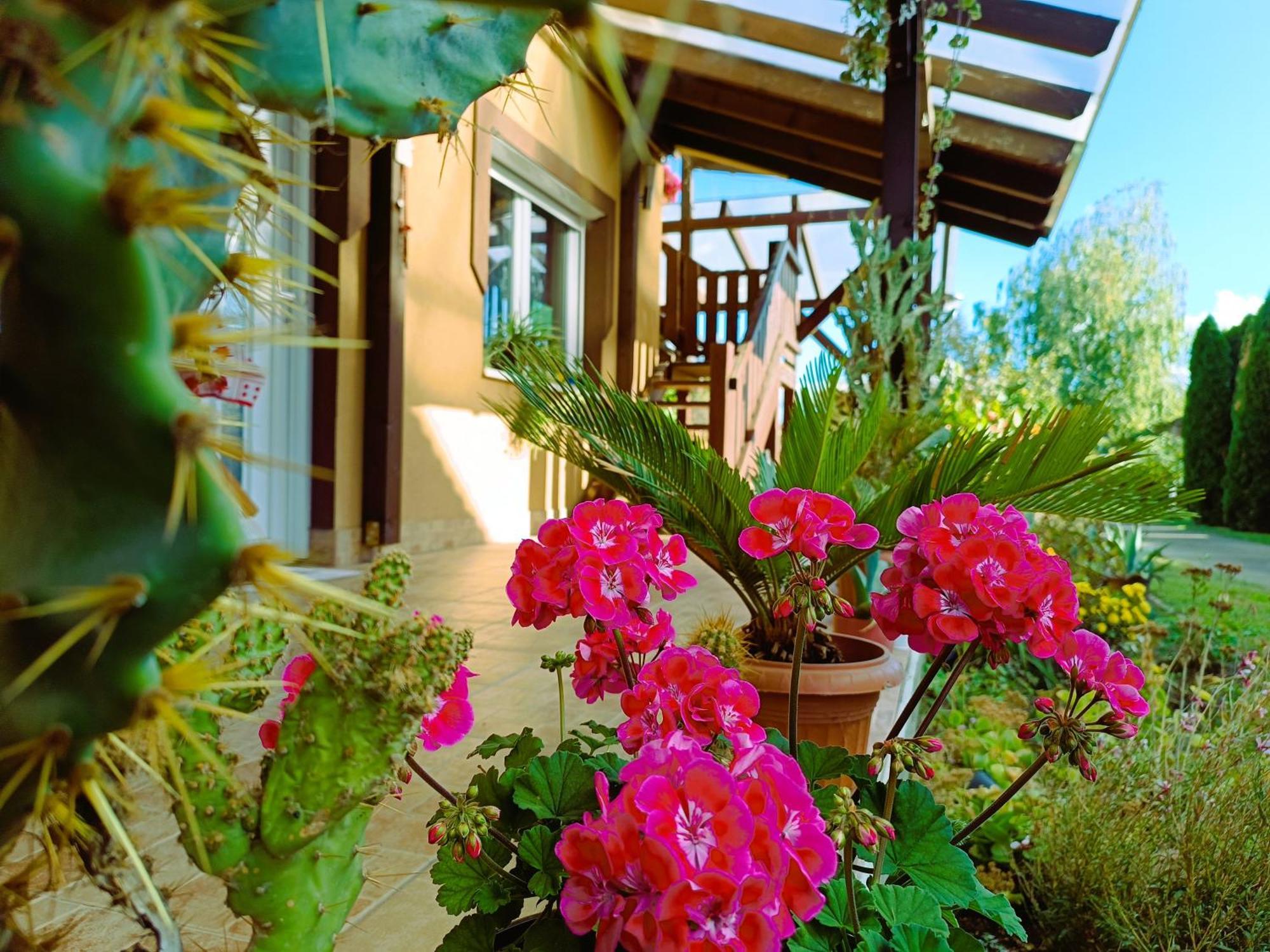Holt-Tisza Vendeghaz Hotel Сегед Екстериор снимка