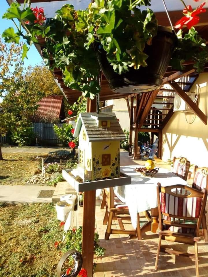 Holt-Tisza Vendeghaz Hotel Сегед Екстериор снимка