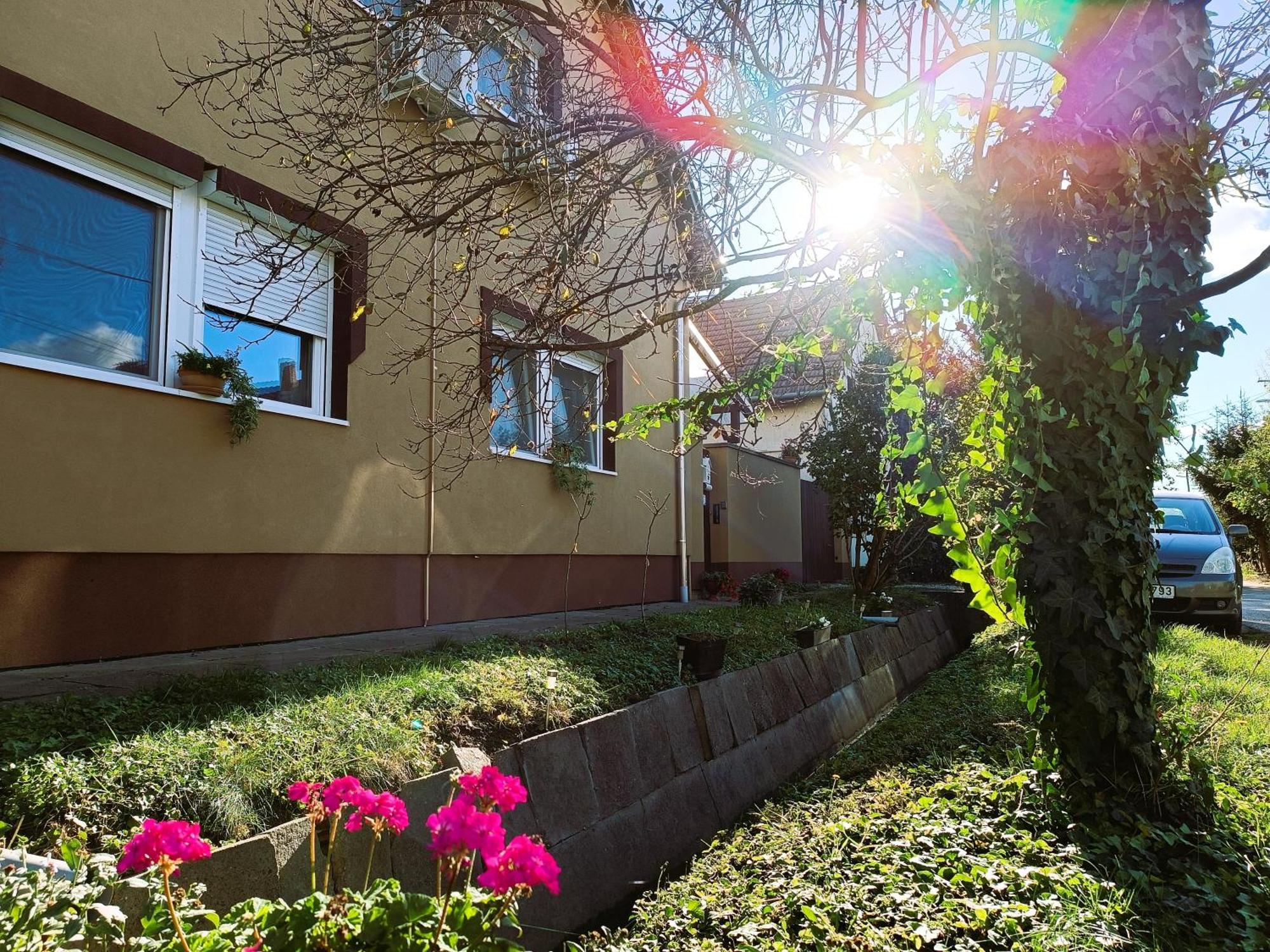Holt-Tisza Vendeghaz Hotel Сегед Екстериор снимка