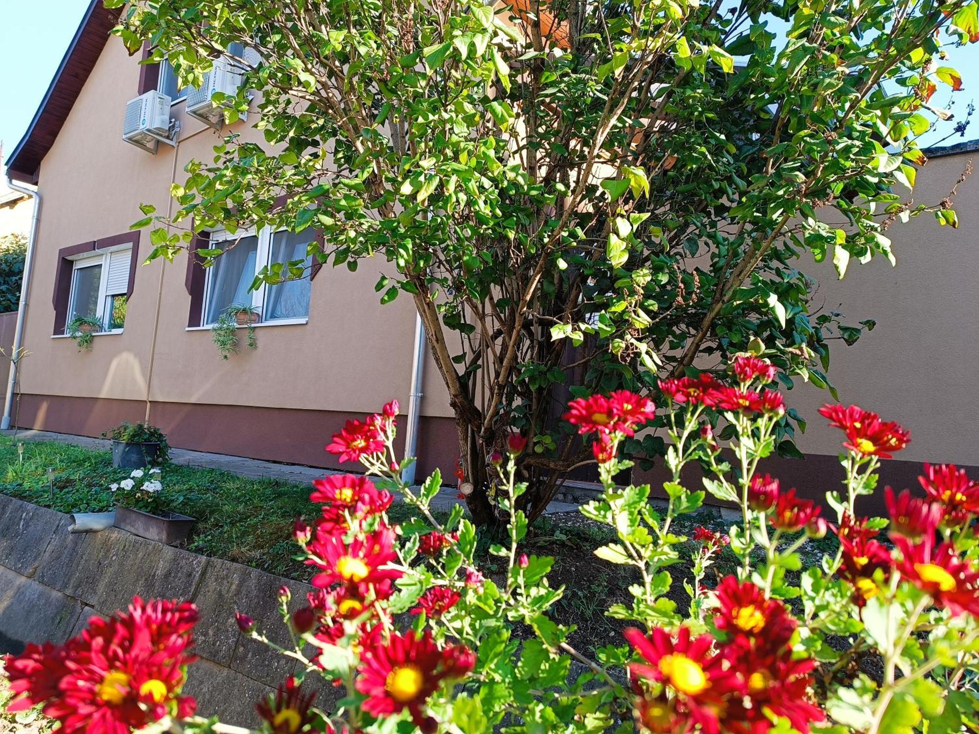 Holt-Tisza Vendeghaz Hotel Сегед Екстериор снимка